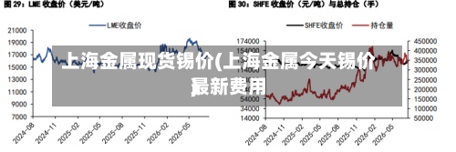 上海金属现货锡价(上海金属今天锡价最新费用)-第2张图片