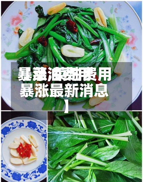 【菜油费用暴涨,菜油费用暴涨最新消息】-第2张图片