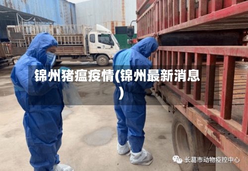 锦州猪瘟疫情(锦州最新消息)