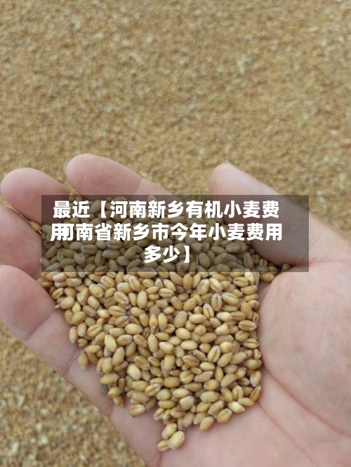 最近【河南新乡有机小麦费用,河南省新乡市今年小麦费用多少】