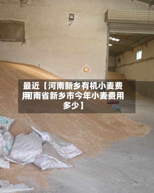 最近【河南新乡有机小麦费用,河南省新乡市今年小麦费用多少】-第2张图片