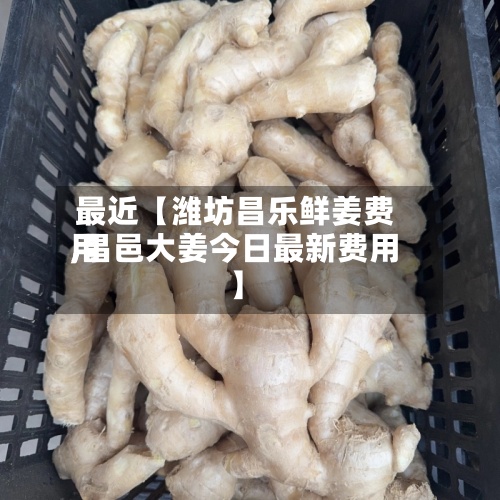最近【潍坊昌乐鲜姜费用,昌邑大姜今日最新费用】