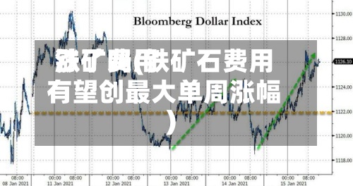 铁矿费用涨了吗(铁矿石费用有望创最大单周涨幅)
