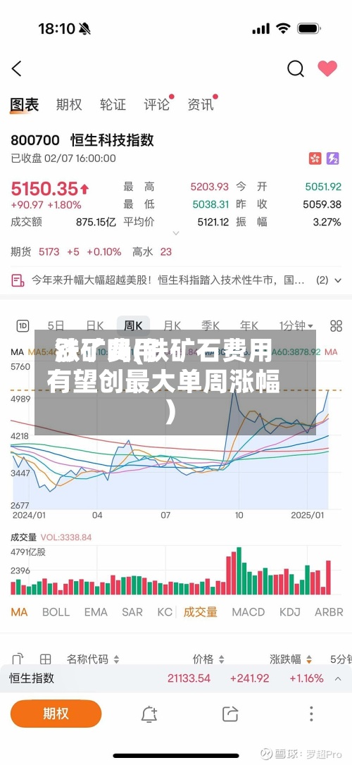 铁矿费用涨了吗(铁矿石费用有望创最大单周涨幅)-第3张图片