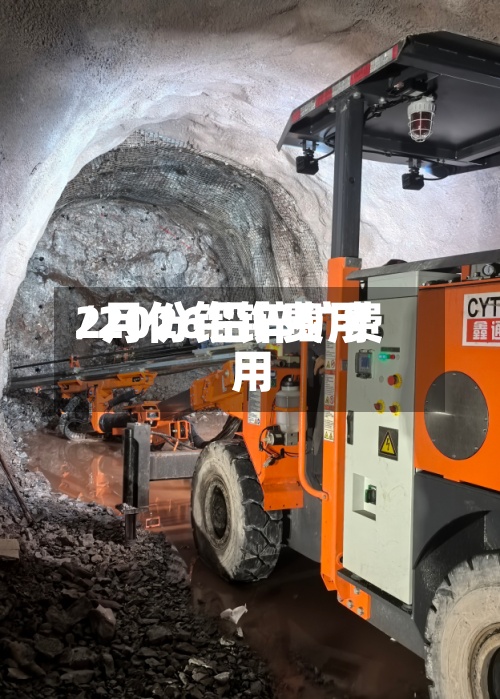 2月份铅锌费用
/2026铅锌矿费用
-第2张图片