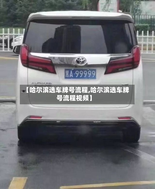 【哈尔滨选车牌号流程,哈尔滨选车牌号流程视频】