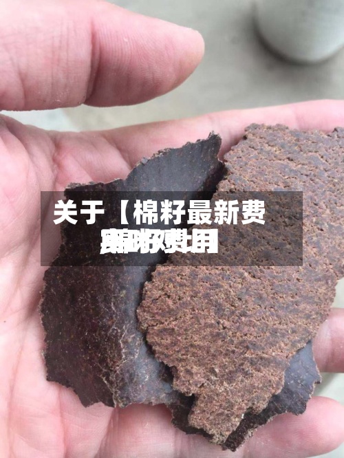 关于【棉籽最新费用,棉籽费用实时对比】-第2张图片