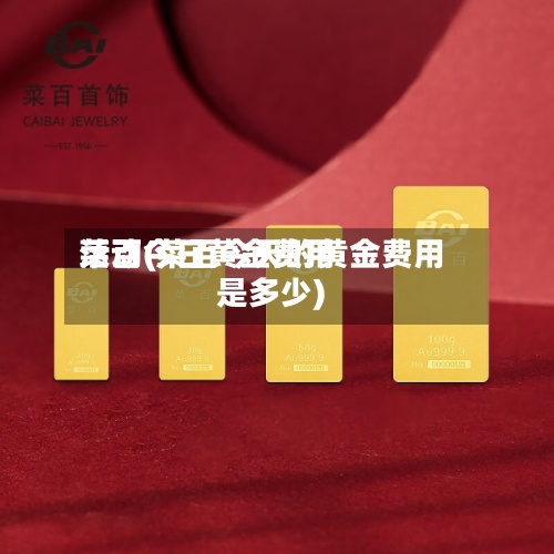 菜百今日黄金费用活动(菜百今天的黄金费用是多少)-第2张图片