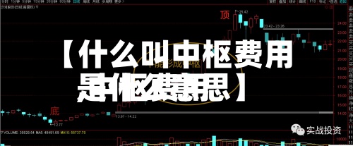 【什么叫中枢费用,中枢费用是什么意思】-第2张图片