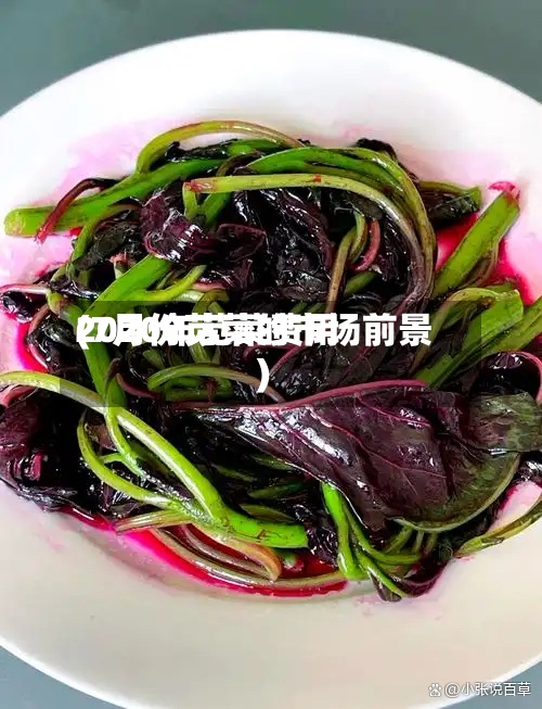 2020年苋菜费用(7月份苋菜的市场前景)