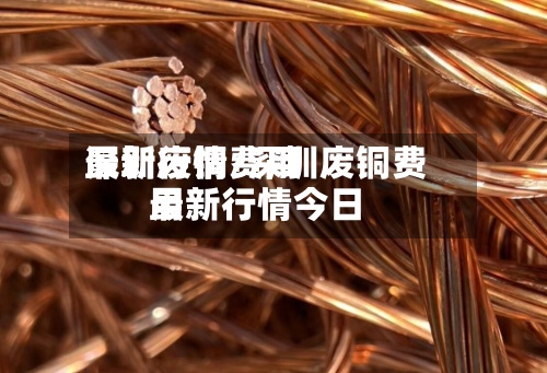 深圳废铜费用最新行情/深圳废铜费用最新行情今日-第2张图片
