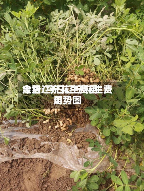 今日辽宁花生费用走势/今日辽宁花生费用走势图-第3张图片