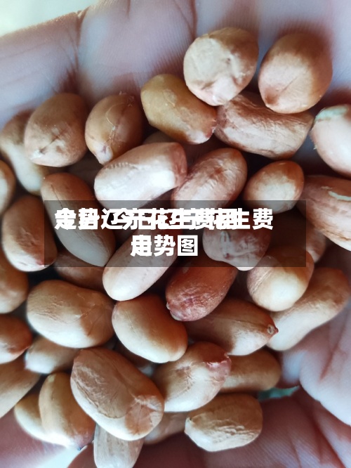 今日辽宁花生费用走势/今日辽宁花生费用走势图-第2张图片