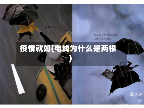 疫情就如(电线为什么是两根)-第2张图片