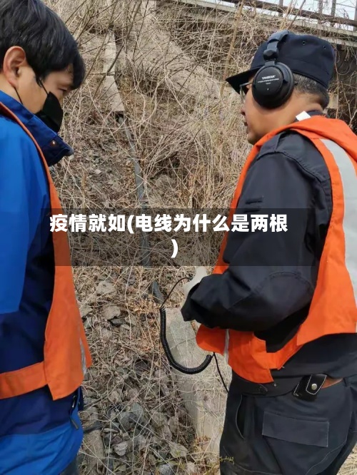 疫情就如(电线为什么是两根)