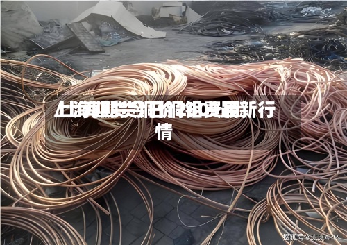 上海期货今日铜铝费用/上海期货铜价2609最新行情