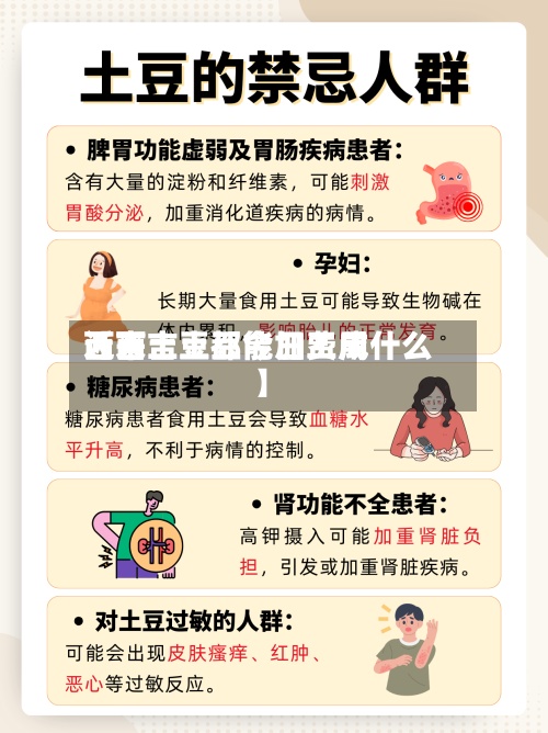 近来【西吉土豆今日费用西吉土豆都能加工成什么】-第2张图片