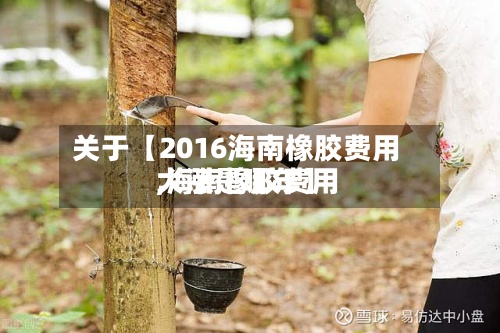 关于【2016海南橡胶费用,海南橡胶费用大涨是哪年】-第2张图片
