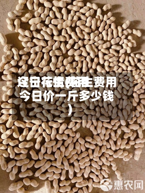 辽宁花生费用今日行情(花生费用今日价一斤多少钱)-第2张图片