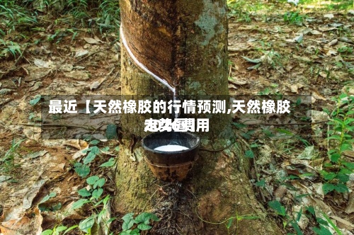 最近【天然橡胶的行情预测,天然橡胶2026费用走势图】-第2张图片