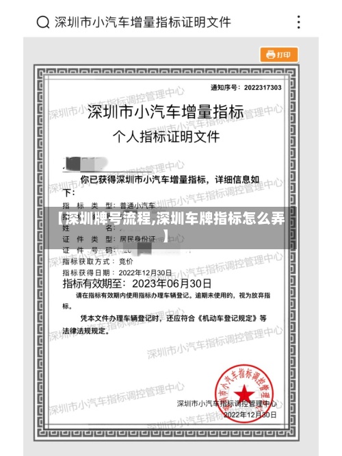 【深圳牌号流程,深圳车牌指标怎么弄】-第2张图片