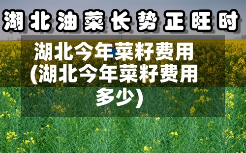 湖北今年菜籽费用(湖北今年菜籽费用多少)