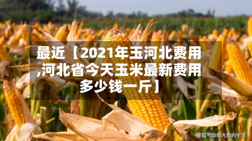 最近【2021年玉河北费用,河北省今天玉米最新费用多少钱一斤】