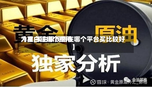 【买白银哪个费用为准,买白银现货在哪个平台买比较好】-第2张图片