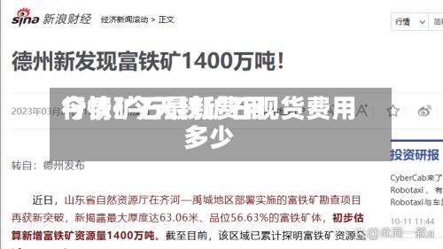 今铁矿石最新费用行情/今天铁矿石现货费用多少-第2张图片