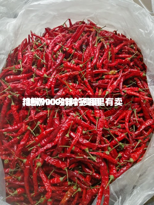 艳椒900今年的费用/艳椒900的种子哪里有卖