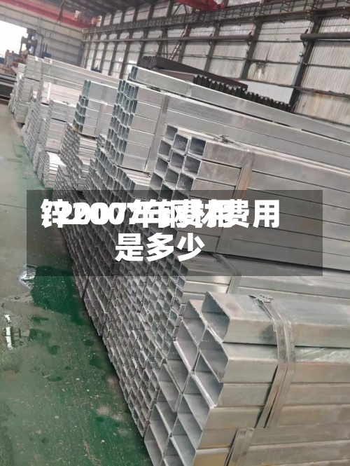 锌2007年费用/2007年钢材费用是多少
