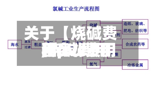关于【烧碱费用和pvc费用,烧碱费用和pvc费用差多少】-第3张图片
