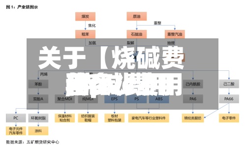 关于【烧碱费用和pvc费用,烧碱费用和pvc费用差多少】-第2张图片