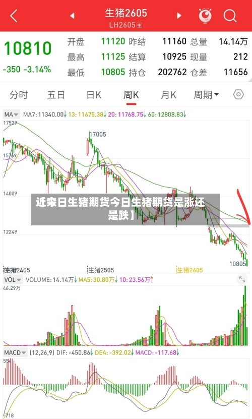 近来【今日生猪期货今日生猪期货是涨还是跌】