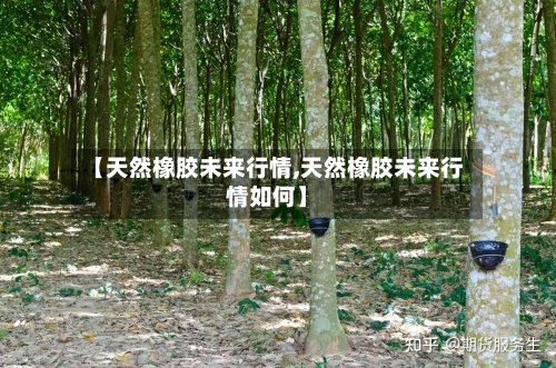【天然橡胶未来行情,天然橡胶未来行情如何】