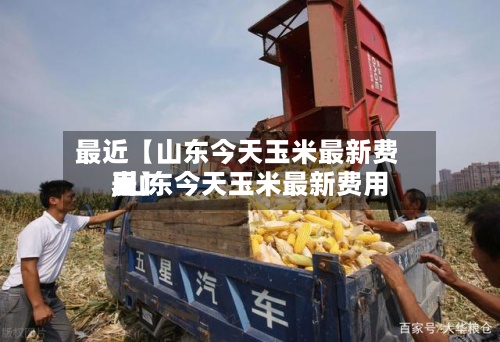 最近【山东今天玉米最新费用,山东今天玉米最新费用表】-第3张图片