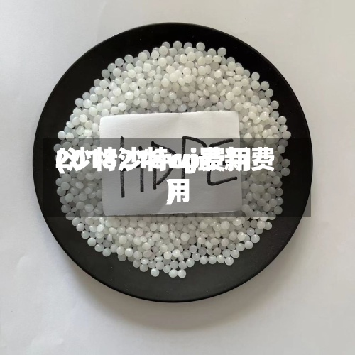 2018沙特cp费用(沙特218wj最新费用)-第3张图片