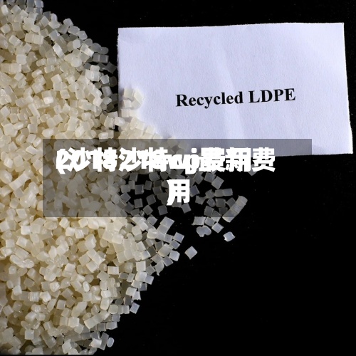 2018沙特cp费用(沙特218wj最新费用)-第2张图片