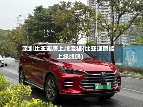 深圳比亚迪唐上牌流程(比亚迪唐能上绿牌吗)-第2张图片