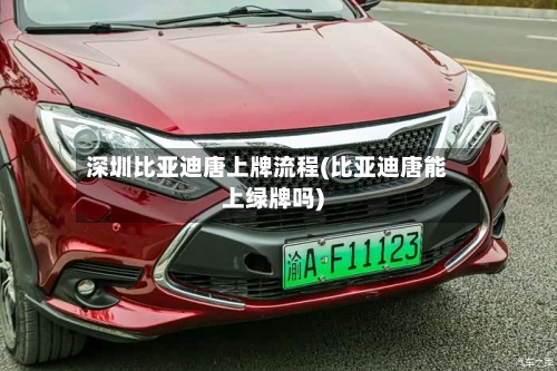 深圳比亚迪唐上牌流程(比亚迪唐能上绿牌吗)