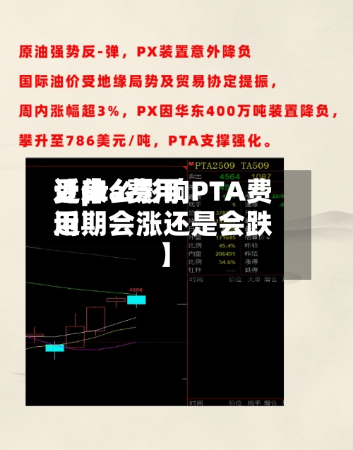 近来
【pta费用
受什么影响PTA费用
近期会涨还是会跌】-第2张图片