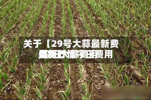 关于【29号大蒜最新费用,今日大蒜费用最新行情今日费用走势】-第2张图片
