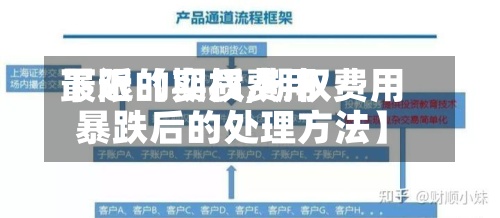最近【期权费用下限的实质,期权费用暴跌后的处理方法】-第2张图片