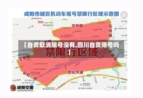 【自贡取消限号没有,四川自贡限号吗】-第2张图片