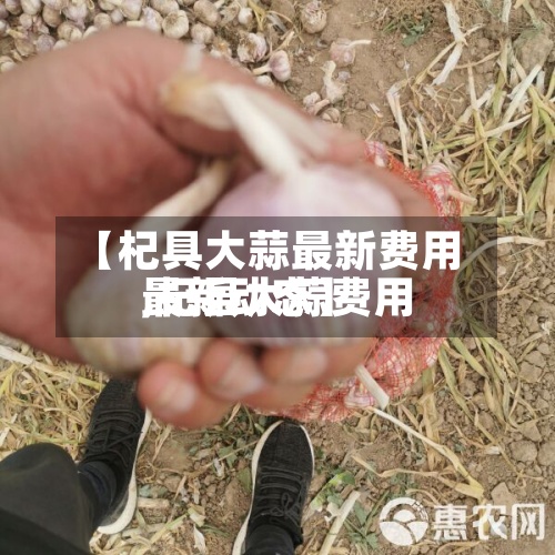 【杞具大蒜最新费用,杞县大蒜费用最新动态】-第2张图片
