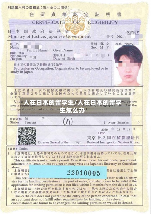 人在日本的留学生/人在日本的留学生怎么办-第2张图片