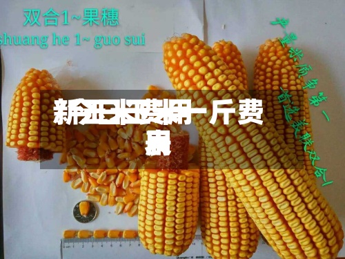 新玉米费用/今日玉米一斤费用表