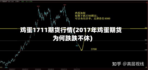 鸡蛋1711期货行情(2017年鸡蛋期货为何跌跌不休)-第2张图片