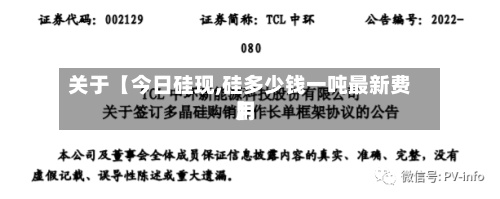 关于【今日硅现,硅多少钱一吨最新费用】-第2张图片