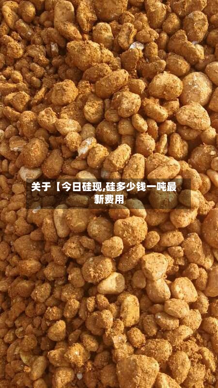 关于【今日硅现,硅多少钱一吨最新费用】-第3张图片